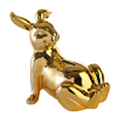 golden-bunny-butt-moneybox-content-message
